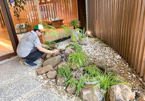 ショールーム植栽入れ替えのイメージ