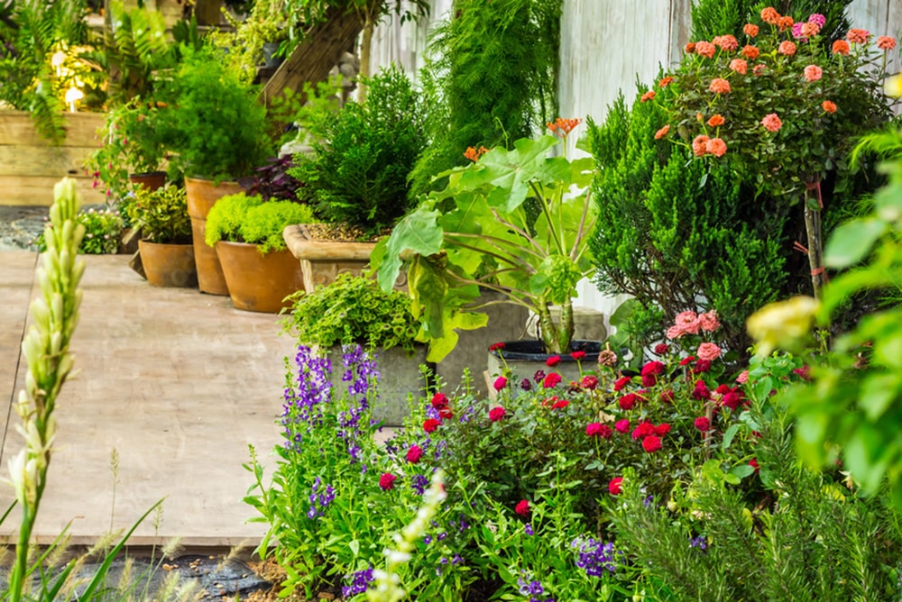 庭が暮らしを新しくする「ガーデン リノベーション」無料相談会 写真