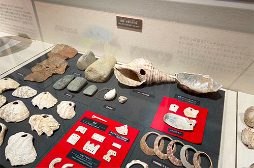 展示品