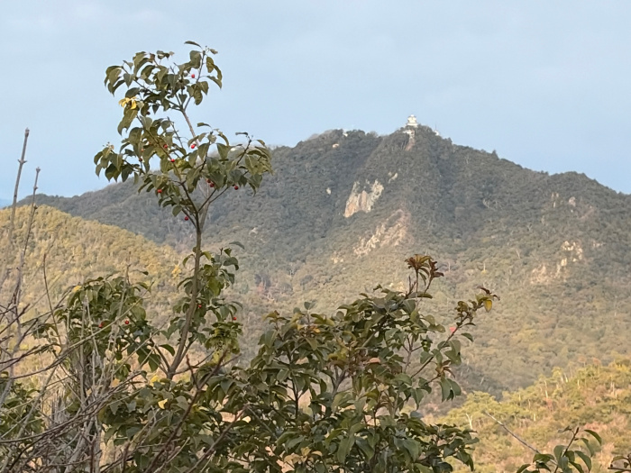 野一色権現山から見る岐阜城