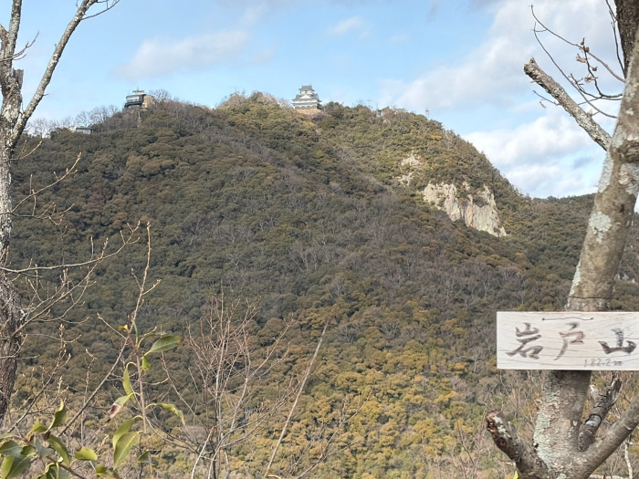 岩戸山からの岐阜城