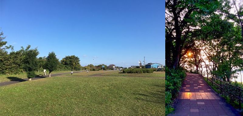 木曽川扶桑緑地公園