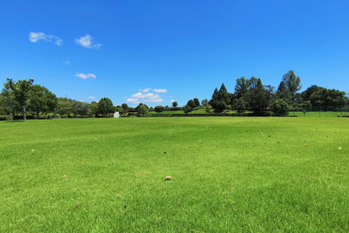 小牧市・市民四季の森